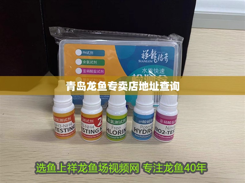 青島龍魚專賣店地址查詢