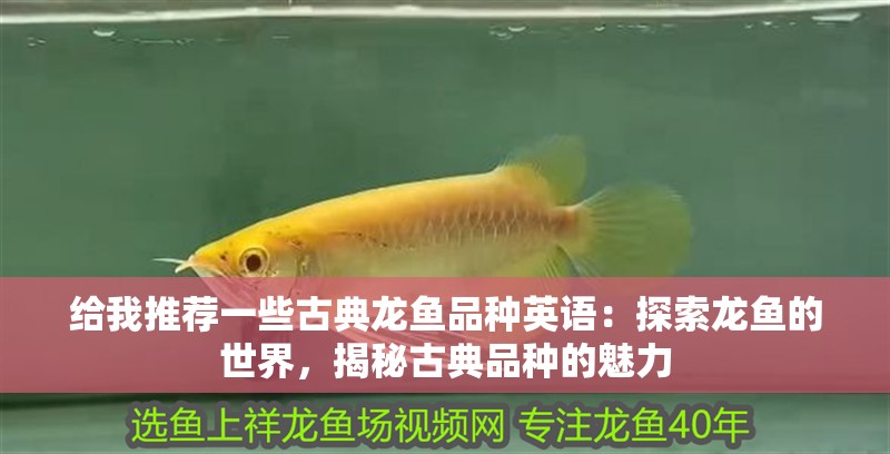 給我推薦一些古典龍魚品種英語：探索龍魚的世界，揭秘古典品種的魅力