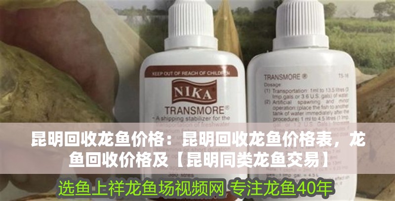 昆明回收龍魚價格：昆明回收龍魚價格表，龍魚回收價格及【昆明同類龍魚交易】