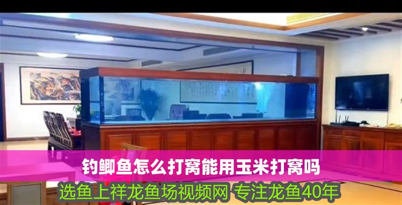 釣鯽魚怎么打窩能用玉米打窩嗎