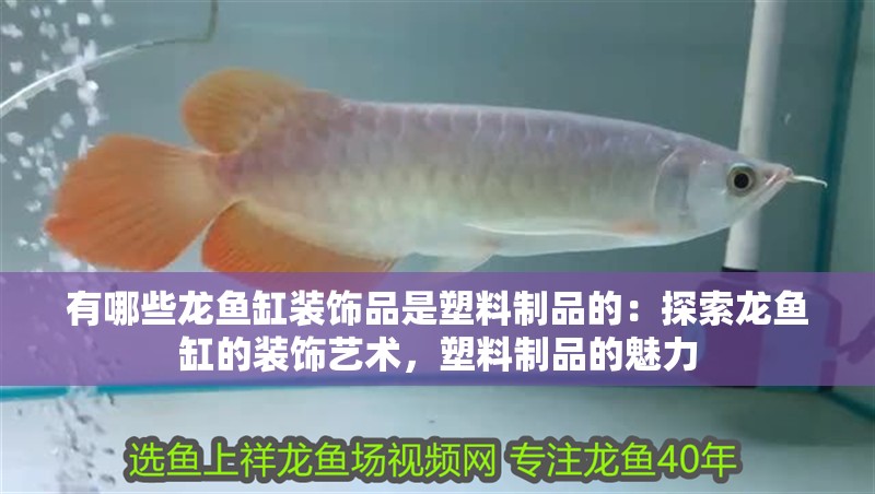 有哪些龍魚缸裝飾品是塑料制品的：探索龍魚缸的裝飾藝術，塑料制品的魅力
