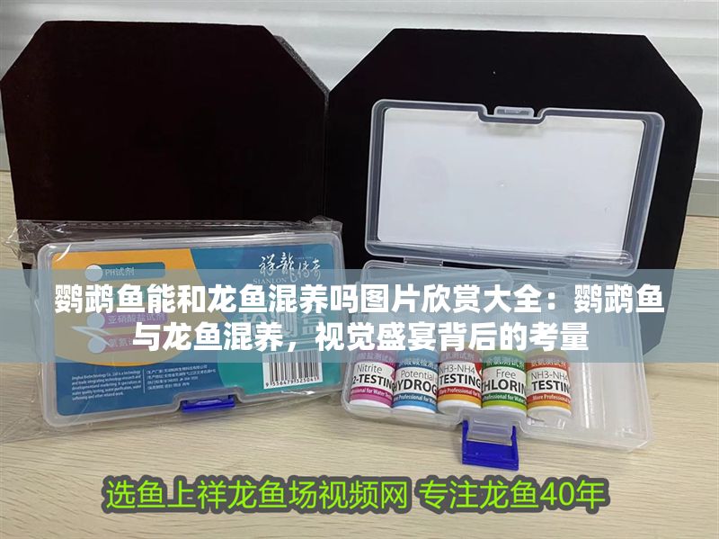 鸚鵡魚能和龍魚混養嗎圖片欣賞大全：鸚鵡魚與龍魚混養，視覺盛宴背后的考量