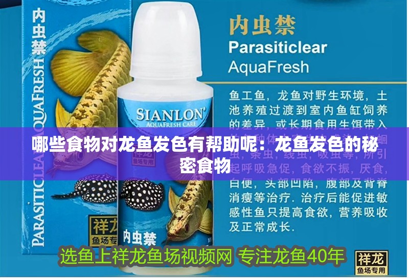 哪些食物對(duì)龍魚(yú)發(fā)色有幫助呢：龍魚(yú)發(fā)色的秘密食物
