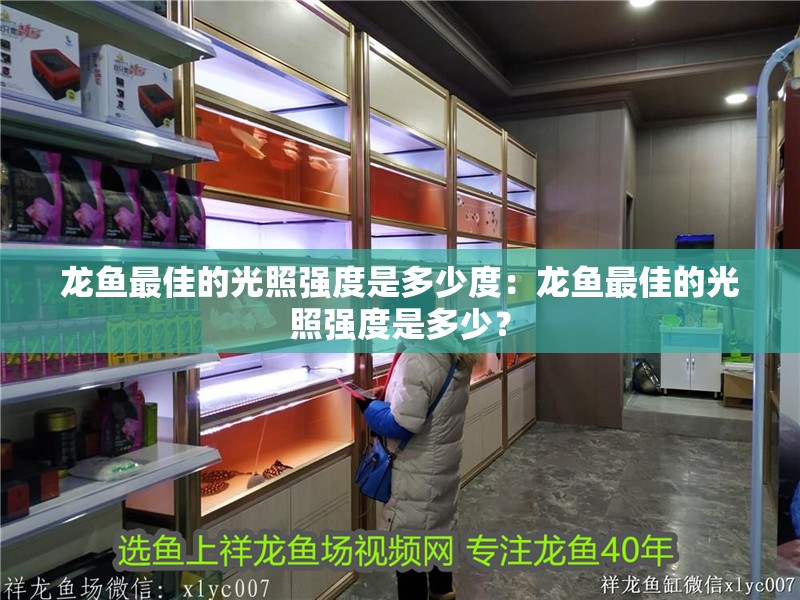 龍魚最佳的光照強度是多少度：龍魚最佳的光照強度是多少？