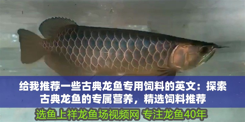 給我推薦一些古典龍魚專用飼料的英文：探索古典龍魚的專屬營養，精選飼料推薦