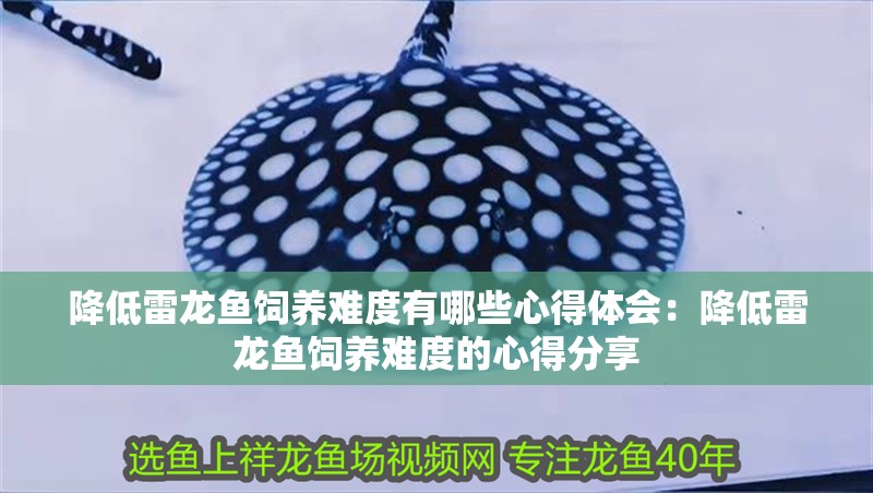 降低雷龍魚飼養(yǎng)難度有哪些心得體會：降低雷龍魚飼養(yǎng)難度的心得分享