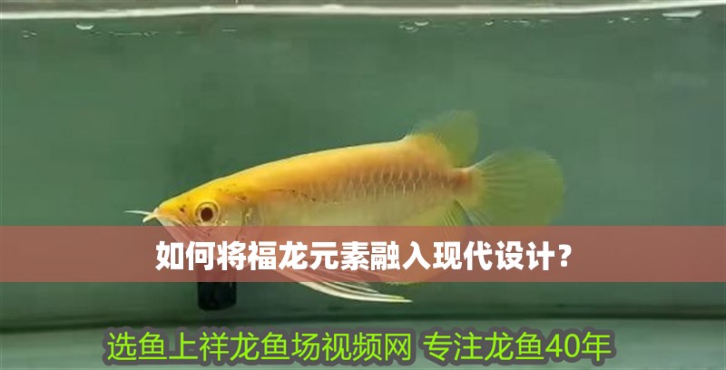 如何將福龍元素融入現代設計？