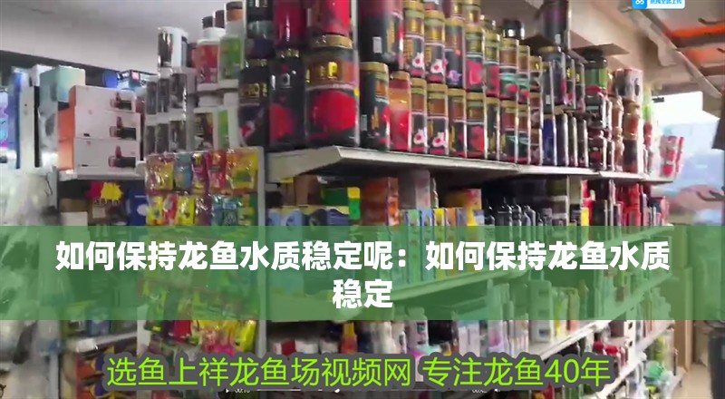 如何保持龍魚水質穩定呢：如何保持龍魚水質穩定