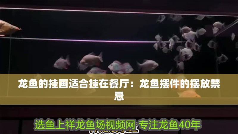 龍魚的掛畫適合掛在餐廳：龍魚擺件的擺放禁忌