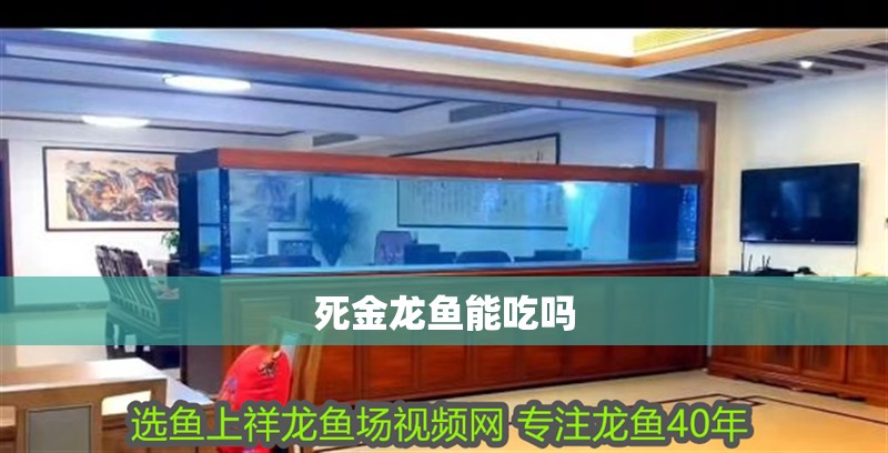 死金龍魚能吃嗎