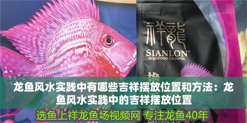 龍魚風(fēng)水實踐中有哪些吉祥擺放位置和方法：龍魚風(fēng)水實踐中的吉祥擺放位置