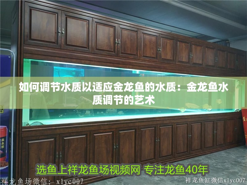 如何調(diào)節(jié)水質(zhì)以適應(yīng)金龍魚的水質(zhì)：金龍魚水質(zhì)調(diào)節(jié)的藝術(shù)