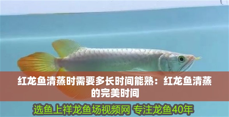 紅龍魚清蒸時需要多長時間能熟：紅龍魚清蒸的完美時間