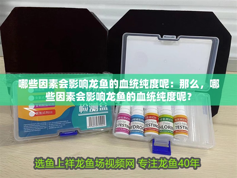 哪些因素會影響龍魚的血統(tǒng)純度呢：那么，哪些因素會影響龍魚的血統(tǒng)純度呢？