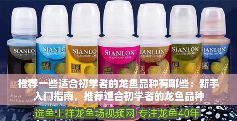 推薦一些適合初學(xué)者的龍魚品種有哪些：新手入門指南，推薦適合初學(xué)者的龍魚品種