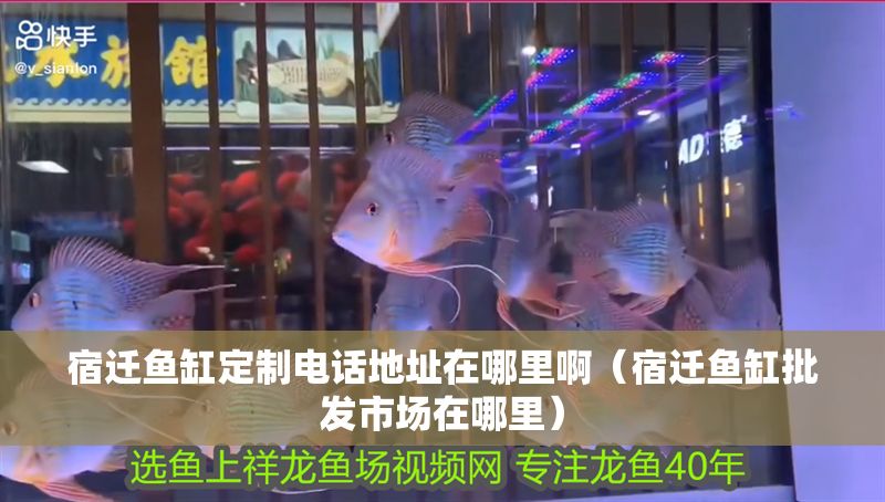 宿遷魚缸定制電話地址在哪里啊（宿遷魚缸批發(fā)市場在哪里）