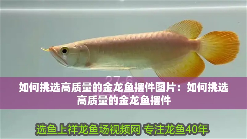 如何挑選高質(zhì)量的金龍魚擺件圖片：如何挑選高質(zhì)量的金龍魚擺件