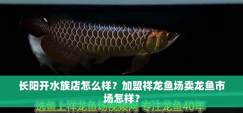 長陽開水族店怎么樣？加盟祥龍魚場賣龍魚市場怎樣？