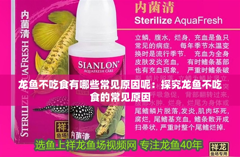 龍魚不吃食有哪些常見原因呢：探究龍魚不吃食的常見原因