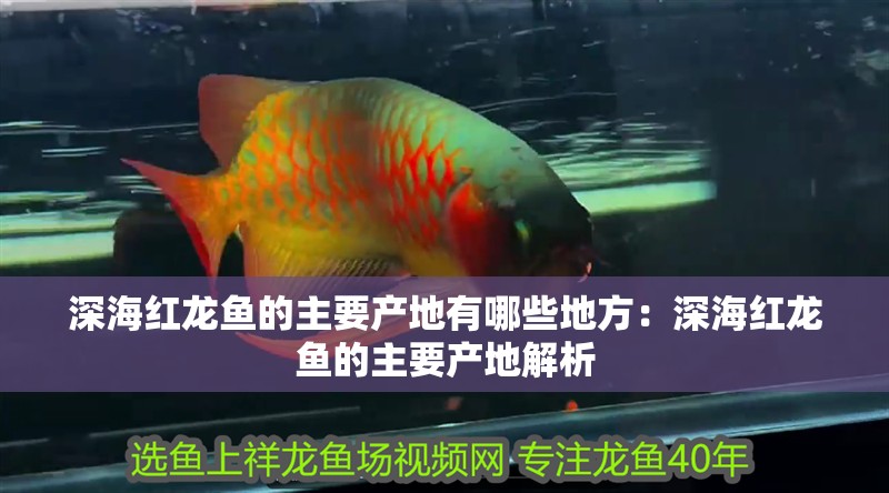 深海紅龍魚的主要產地有哪些地方：深海紅龍魚的主要產地解析