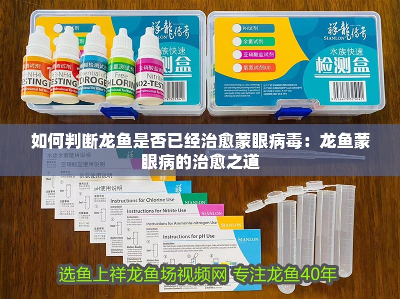如何判斷龍魚是否已經(jīng)治愈蒙眼病毒：龍魚蒙眼病的治愈之道