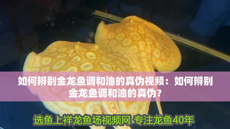 如何辨別金龍魚調和油的真偽視頻：如何辨別金龍魚調和油的真偽？