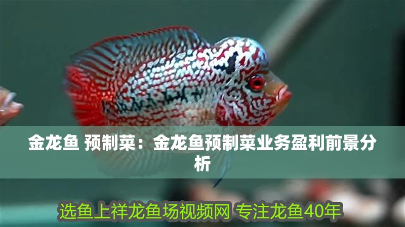 金龍魚 預制菜：金龍魚預制菜業務盈利前景分析