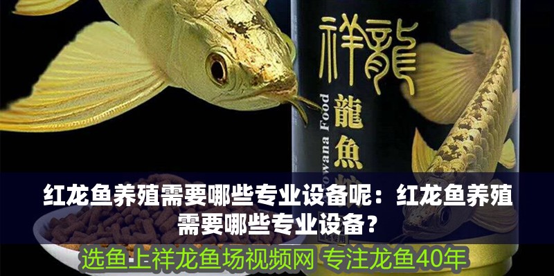 紅龍魚養殖需要哪些專業設備呢：紅龍魚養殖需要哪些專業設備？