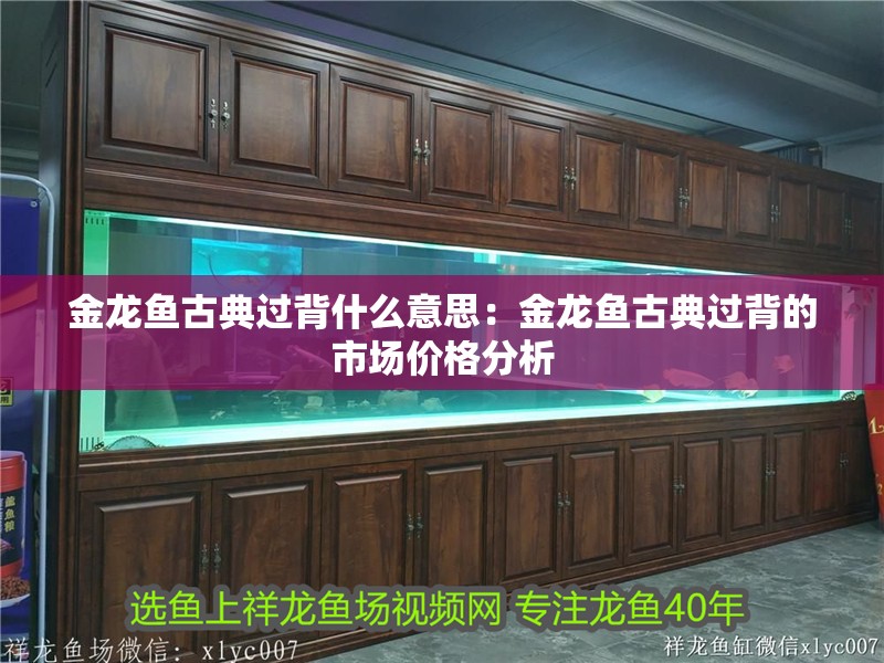 金龍魚古典過背什么意思：金龍魚古典過背的市場價格分析