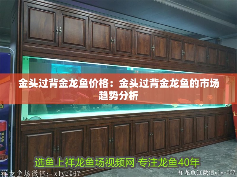 金頭過背金龍魚價格：金頭過背金龍魚的市場趨勢分析