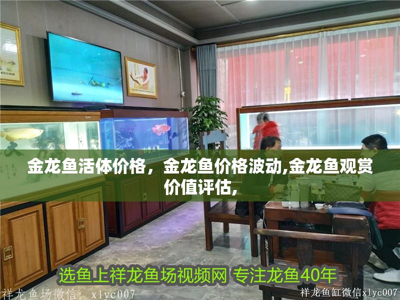 金龍魚活體價(jià)格，金龍魚價(jià)格波動(dòng),金龍魚觀賞價(jià)值評(píng)估,