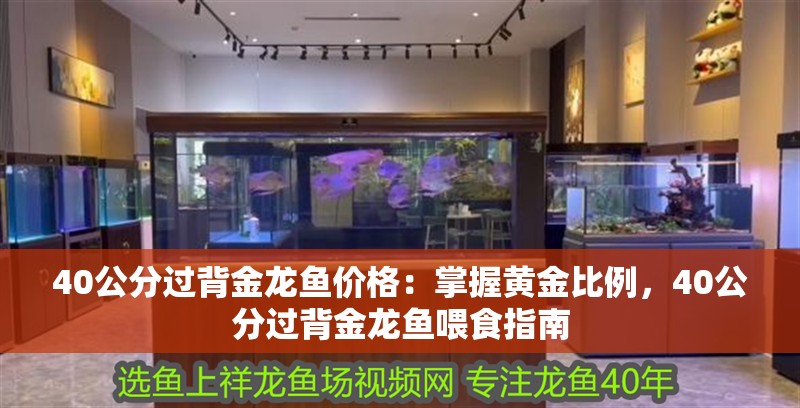 40公分過背金龍魚價格：掌握黃金比例，40公分過背金龍魚喂食指南