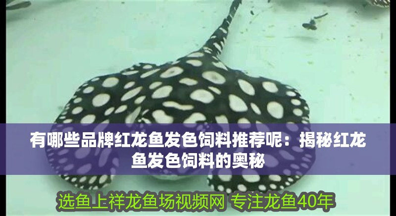 有哪些品牌紅龍魚發色飼料推薦呢：揭秘紅龍魚發色飼料的奧秘