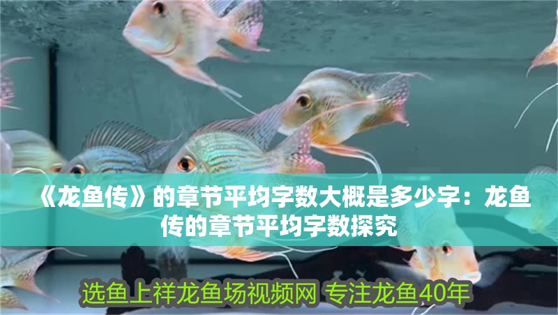《龍魚傳》的章節(jié)平均字數(shù)大概是多少字：龍魚傳的章節(jié)平均字數(shù)探究
