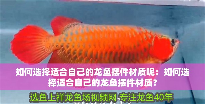 如何選擇適合自己的龍魚擺件材質(zhì)呢：如何選擇適合自己的龍魚擺件材質(zhì)？