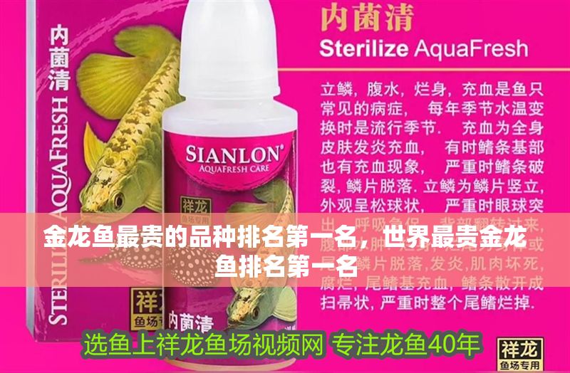 金龍魚最貴的品種排名第一名，世界最貴金龍魚排名第一名