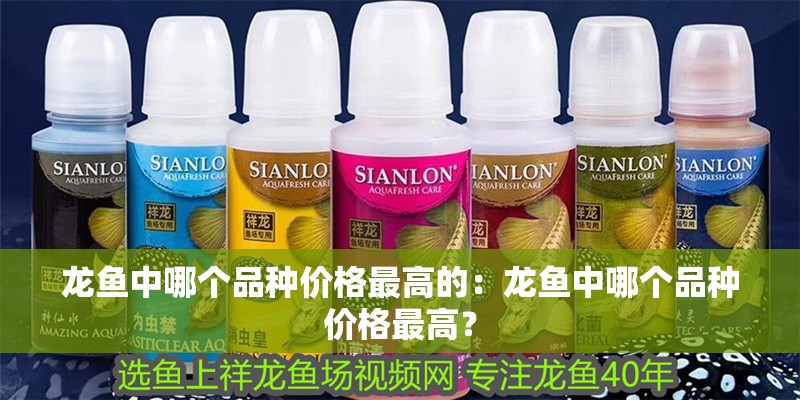 龍魚(yú)中哪個(gè)品種價(jià)格最高的：龍魚(yú)中哪個(gè)品種價(jià)格最高？