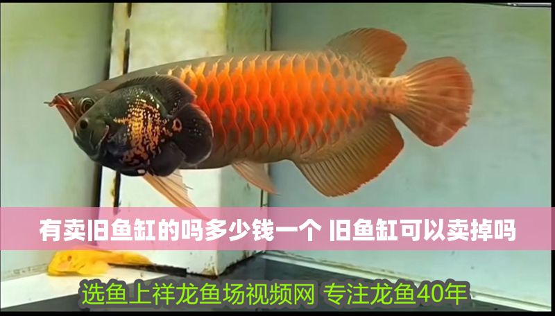 有賣舊魚缸的嗎多少錢一個 舊魚缸可以賣掉嗎
