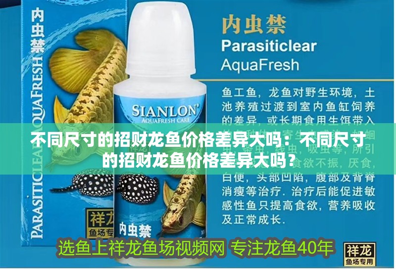 不同尺寸的招財(cái)龍魚價(jià)格差異大嗎：不同尺寸的招財(cái)龍魚價(jià)格差異大嗎？