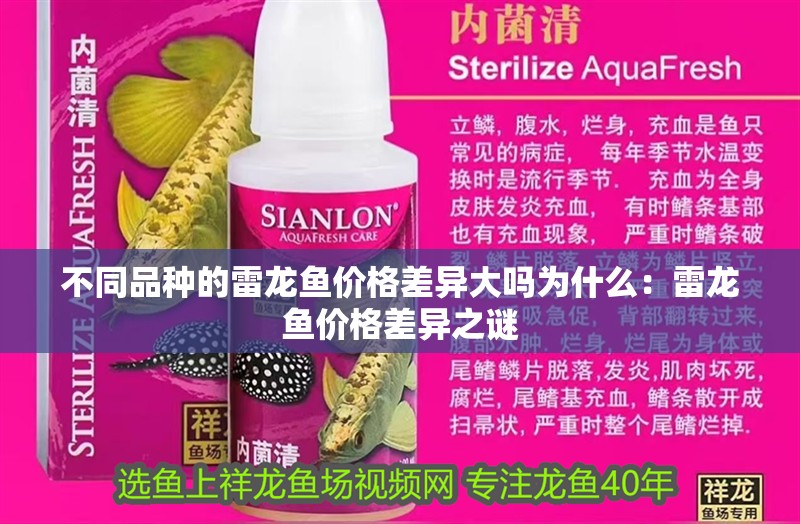 不同品種的雷龍魚價格差異大嗎為什么：雷龍魚價格差異之謎