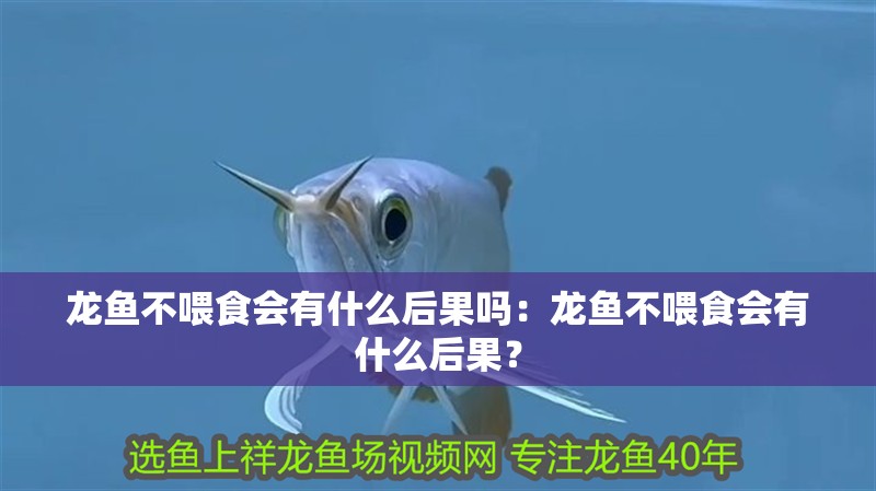龍魚不喂食會有什么后果嗎：龍魚不喂食會有什么后果？