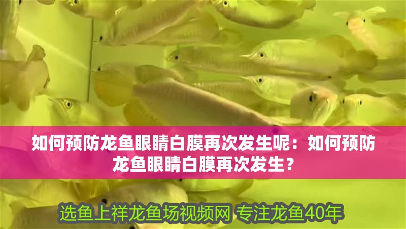 如何預防龍魚眼睛白膜再次發生呢：如何預防龍魚眼睛白膜再次發生？