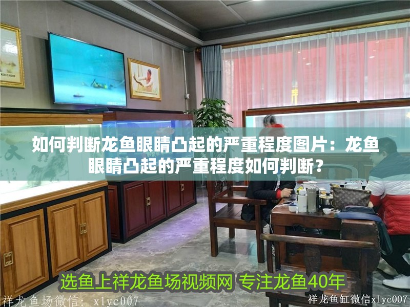 如何判斷龍魚眼睛凸起的嚴重程度圖片:龍魚眼睛凸起的嚴重程度如何判斷?