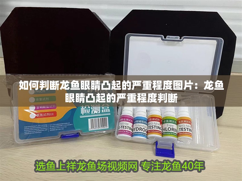 如何判斷龍魚眼睛凸起的嚴(yán)重程度圖片：龍魚眼睛凸起的嚴(yán)重程度判斷