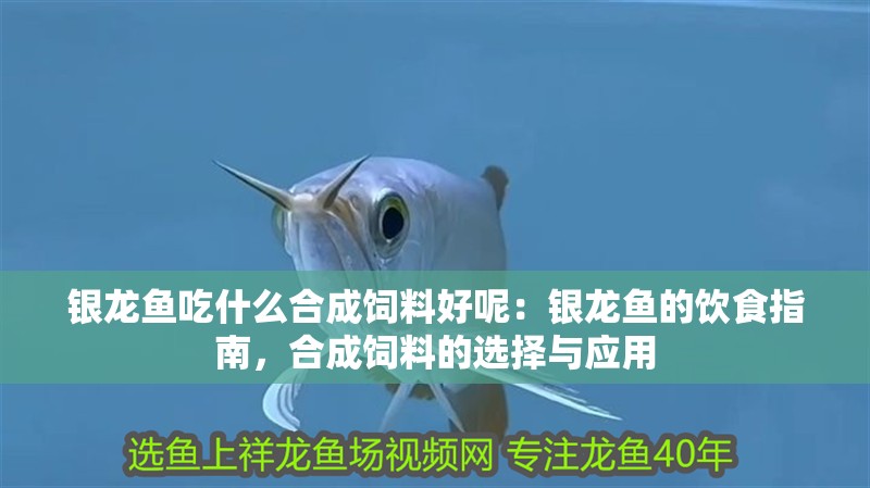 銀龍魚吃什么合成飼料好呢：銀龍魚的飲食指南，合成飼料的選擇與應用