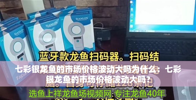 七彩銀龍魚的市場價格波動大嗎為什么：七彩銀龍魚的市場價格波動大嗎？
