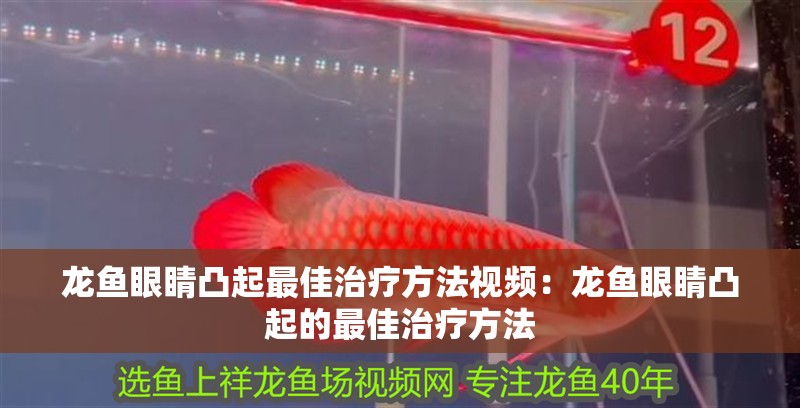 龍魚眼睛凸起最佳治療方法視頻：龍魚眼睛凸起的最佳治療方法
