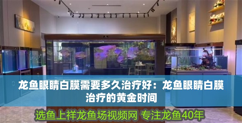 龍魚(yú)眼睛白膜需要多久治療好：龍魚(yú)眼睛白膜治療的黃金時(shí)間