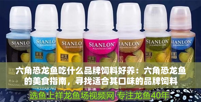 六角恐龍魚吃什么品牌飼料好養(yǎng)：六角恐龍魚的美食指南，尋找適合其口味的品牌飼料