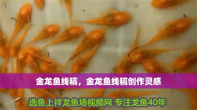金龍魚線稿，金龍魚線稿創作靈感